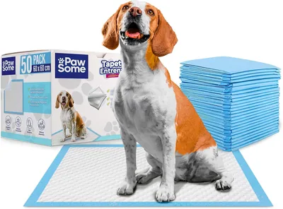 PAW SOME Tapete Entrenador para Perro 60x60cm Absorbente y Antifugas