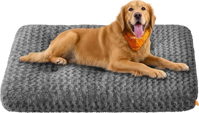 Feandrea Dog Bed XXL - 25% Off