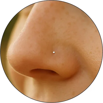 ALOME Piercings Silver Nose Studs - Set of 3