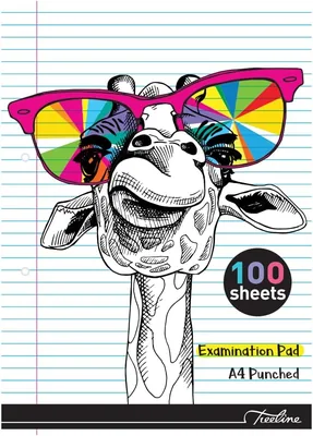 Treeline 100 Sheet Fine & Margin Exam Pad Punched 5-Piece Set Best Deal