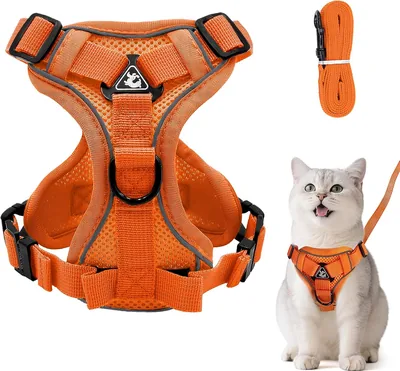 Harnais de chat ajustable Grantop Anti-Déchirure Doux pour Chats (XS, Orange) - Meilleur Prix