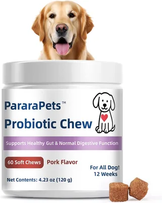 Dog Gut Health Probiotics, 60 Soft Chews