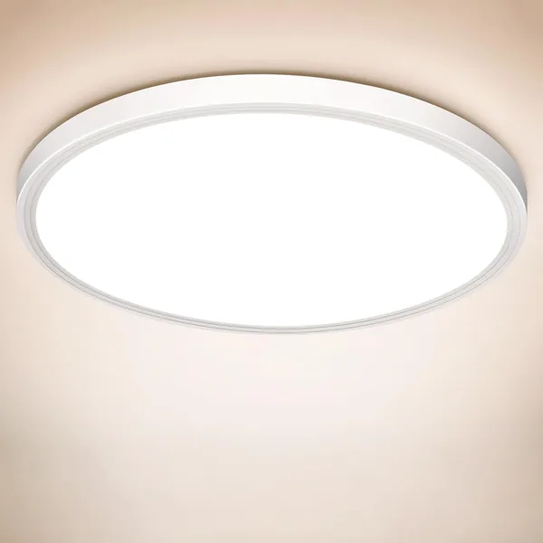 Swoieltr LED Hallway Ceiling Light