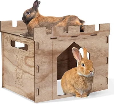 HIMALEX Rabbit House: Spacious Hideout for Rabbits - Best Deal