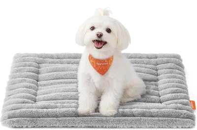 Feandrea Dog Bed Mat S 60x45cm Dove Grey PPB041GD01 Best Deal