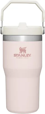 Stanley IceFlow 2.0 Flip Straw Tumbler 20oz - Best Deal