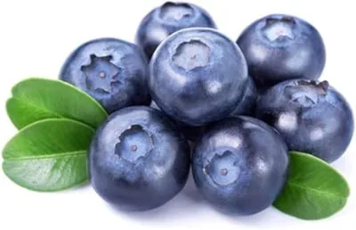 Blueberry 125g - 72% Off | Save AED 39.25