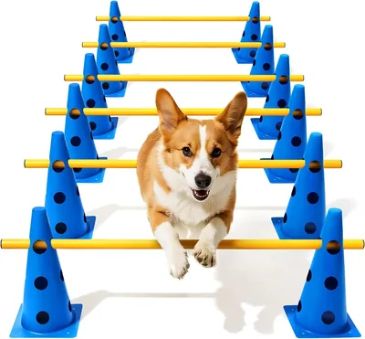 Lupar Dog Agility Course Set 7% Off - Adjustable Hurdles for Rehabilitation