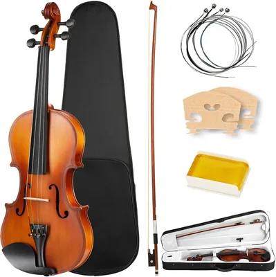 WEAGP Violín 4/4 con Accesorios para Aprendizajes, Estuche, Cuerdas y Colofonia