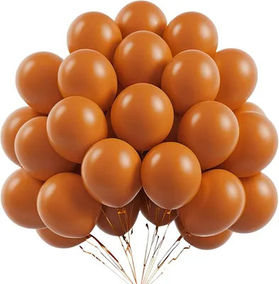 Oranje Ballonnen, 100 stuks, 10 inch Latex Ballonnen, Heliumballonnen, Verjaardag Ballonnen, Bruiloft Balloon, Oranje Kleur