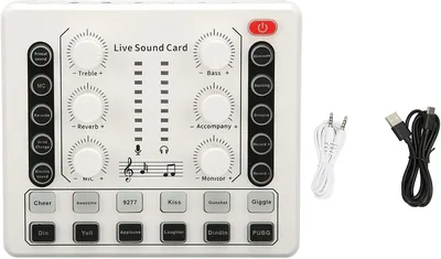 BONKZEBU Tarjeta de Sonido en Vivo para DJ y Karaoke con Efectos de Sonido Profesionales Mini Tablero de Sonido para Podcast Mejor Oferta