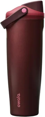 Owala FreeSip Sway Bottle 31% Off