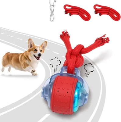 BENTOPAL Dog Toys Interactive Ball for Puppies - 17% Off
