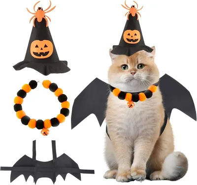 Halloween Pumpkin Costume Set for Pets