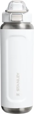 Stanley 1913 Wellspring Fles 0.7L - 12 Uur Koud - 40 Uur Met IJs - BPA Vrij Staal - Lekdicht - Spulvriendelijk