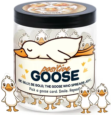Positive Goose Jar with 60 Affirmation Cards Best Deal