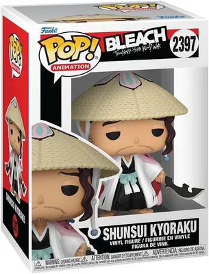 Bleach Thousand Year Blood War Shunsui Kyoraku Funko Pop! Animation Collectable Vinyl Figure