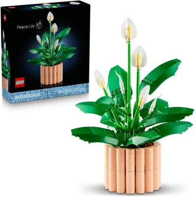 LEGO Botanicals Skrzydłokwiat 11504 | Sztuczna roślina dekoracyjna, kreatywna zabawa, idealny prezent dla dorosłych