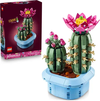 LEGO Botanicals 11509 - Ensemble de plantes artificielles en pot - 2 cactus et fleurs factices - Décoration de chambre DIY - Cadeau d'anniversaire pour 9 ans - 39% de réduction