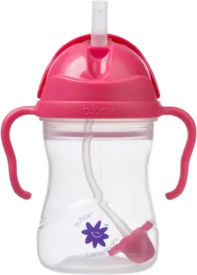 Lansinoh b.box Weighted Straw Sippy Cup, Raspberry, 8oz