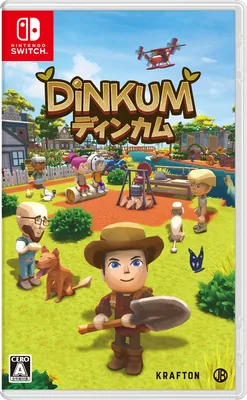 Dinkum -Switch (2 ) BOX