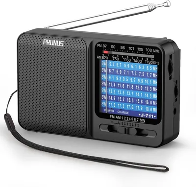 Prunus J-711 AM/FM/SW Radio - 55% Off