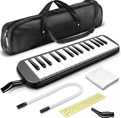 EYNSHOO Melodica de 32 Teclas, Instrumento de Teclado de Boca, Negra con Accesorios. ¡Mejor Oferta!