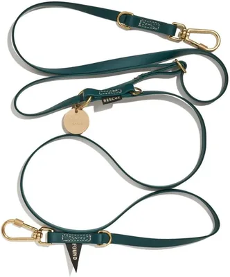 Found My Animal Dog Leash, 6.6 ft (2.1 m), Medium Dogs, Waterproof, Hands-Free