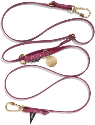 Found My Animal Dog Leash, 6.6 ft, Waterproof & Hands-Free