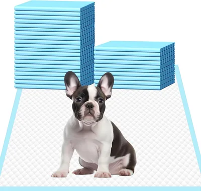 Pet Training Pads 40 Pack - Super Absorbent Leak-Proof Mats for Puppy & Cat, White (30% Off)