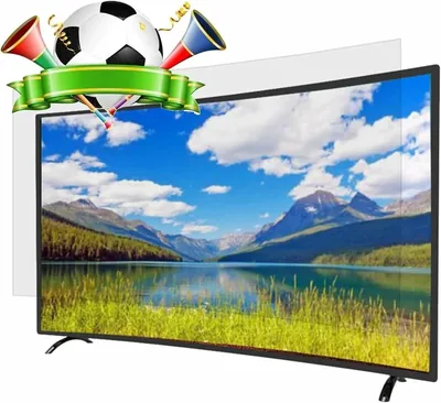 75-85 Inch TV Screen Protector - Best Deal