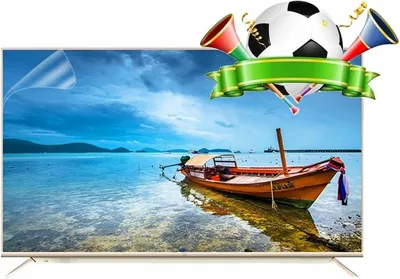 75"-85" TV Screen Protector Anti UV Blue Light Filter Frosted Film Best Deal