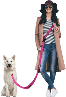 WANFIRE Hands Free Dog Lead Best Deal