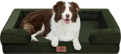 Comfort Expression Orthopedic Dog Bed Large, Waterproof Egg Crate Foam Pet Bed