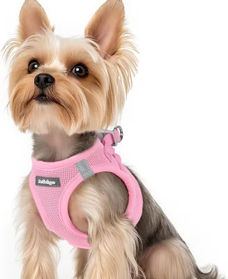 Rabbitgoo Stap-in Halsband voor Honden Klein/Midden Pink XS, Puppy Halsband met Reflecterend, Ademend en Zacht Mesh, Anti-Trekken