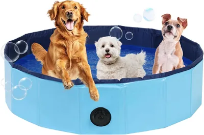 DASBET Foldable Dog Pool - Best Deal