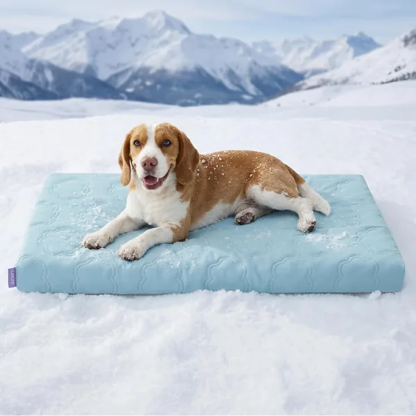 LE SURE Cooling Dog Beds Large Sized Dog