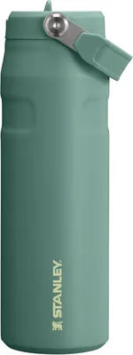 Stanley 1913 Flip Straw 2.0 Waterfles met Strook - 10 uur Koud - 2 dagen met IJs - Stalen Drinkfles