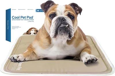 Green Pet Shop Cool Pet Pad - Medium, Iced Latte (Self-Cooling Mat)