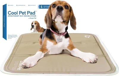 Green Pet Shop Cool Pet Pad - Small, Iced Latte, Self-Cooling Mat for Pets