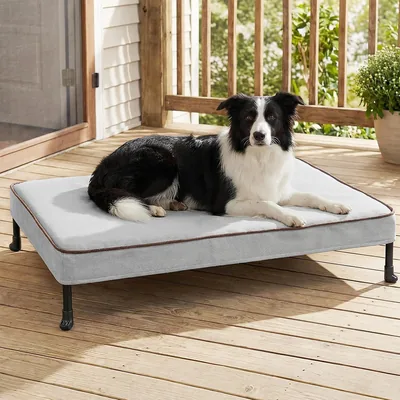 Veehoo Elevated Dog Bed - Medium Raised Cot