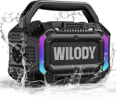 Wilody 100W Bluetooth Speaker Box Light Soundbox