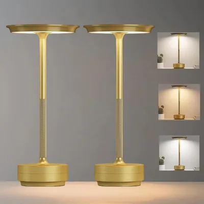 EvanGrinzia 2 Pack Cordless Table Lamps LED Touch Rechargeable Best Deal