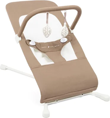 Baby Delight Highland Organic Bouncer - Mocha