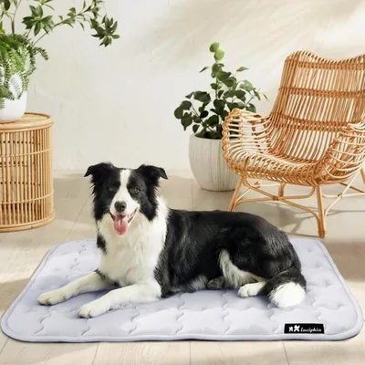 Mat de refroidissement Luciphia pour chiens et chats - Tapis de repos portable et lavable