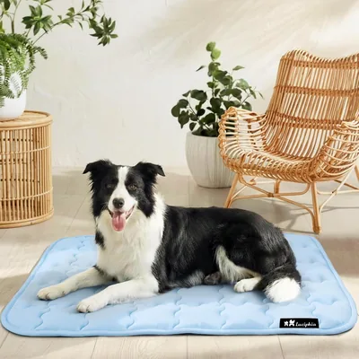 Luciphia Mat de Refroidissement pour Chiens et Chats - Tapis de Rafraîchissement d'Été Lavable - Pour Grand, Moyen et Petit - Portable Intérieur Lumière