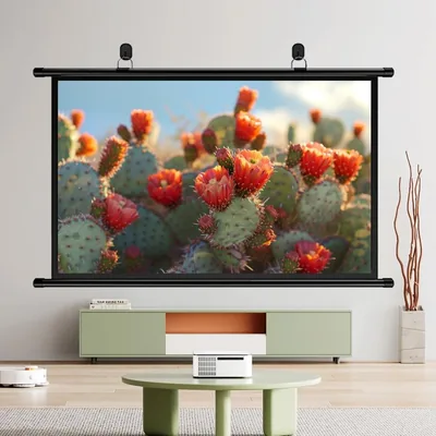 ZPIMPGMGUG Cinema Projector Screen 50 Inch Pull Down HD Movie Screen Best Deal
