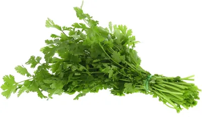 Coriander Leaves Fresh Bunch - Best Deal