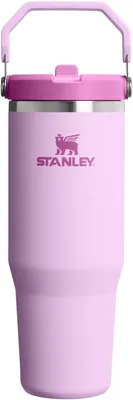 STANLEY IceFlow 2.0 Flip Straw Tumbler 30oz 40% Off