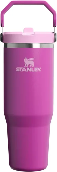 STANLEY IceFlow 2.0 Flip Straw Tumbler with Handle 30 oz | Twist On Lid and Flip Up Straw | Leakproof Water Bottle
